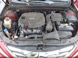 Miniaturka zdjęcia 10
