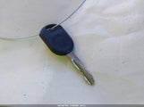 Miniaturka zdjęcia 11