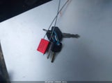 Miniaturka zdjęcia 11