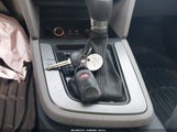 Miniaturka zdjęcia 11