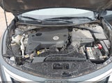 Miniaturka zdjęcia 10