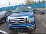 Ford F-150 Fx2 Sport/Harley-Davidson/King Ranch/Lariat/Platinum/Xl/Xlt 1FTFW1CV1AKE67035 fotografie