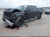 Ford F-150 Fx4/Harley-Davidson/King Ranch/Lariat/Platinum/Xl/Xlt 1FTFW1EV0AFA12490 photo