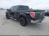 Ford F-150 Fx4/Harley-Davidson/King Ranch/Lariat/Platinum/Xl/Xlt 1FTFW1EV0AFA12490 fotografie