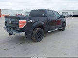 Ford F-150 Fx4/Harley-Davidson/King Ranch/Lariat/Platinum/Xl/Xlt 1FTFW1EV0AFA12490 fotografie