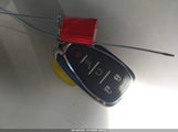 Miniaturka zdjęcia 11
