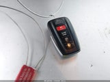 Miniaturka zdjęcia 11