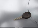Miniaturka zdjęcia 11