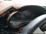 Miniaturka zdjęcia 7