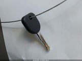 Miniaturka zdjęcia 11