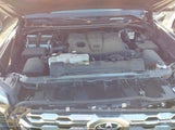 Toyota Tundra  Edition 5TFMA5ABXPX024917 photo