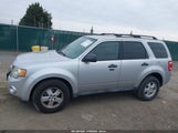 Ford Escape Xlt 1FMCU9DG0AKC88049 снимка