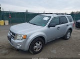 Ford Escape Xlt 1FMCU9DG0AKC88049 снимка