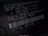 Miniaturka zdjęcia 9