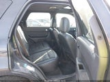 Miniaturka zdjęcia 8