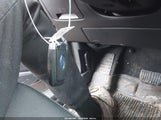Miniaturka zdjęcia 11
