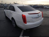 Cadillac Xts Standard 2G61N5S31D9231207 снимка