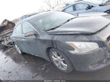 Nissan Maxima 3.5 Sv 1N4AA5AP3EC444284 снимка