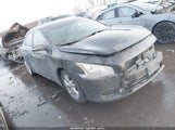 Nissan Maxima 3.5 Sv 1N4AA5AP3EC444284 снимка