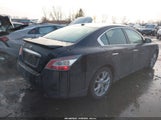 Nissan Maxima 3.5 Sv 1N4AA5AP3EC444284 снимка