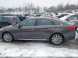 Hyundai Sonata Sport 5NPE34AF3FH239612 photo