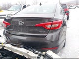 Hyundai Sonata Sport 5NPE34AF3FH239612 fotografie
