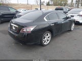 Nissan Maxima 3.5 S 1N4AA5AP2DC848059 снимка