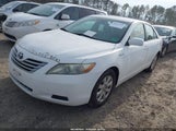 Miniaturka zdjęcia 2