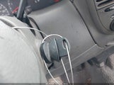 Miniaturka zdjęcia 11