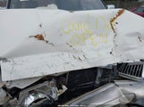 Isuzu Trooper Ls/Limited JACDJ58W4S7916726 снимка