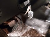 Miniaturka zdjęcia 11