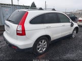 Honda Cr-V Ex-L JHLRE487X7C101186 fotografie