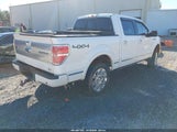 Ford F-150 Fx4/Harley-Davidson/King Ranch/Lariat/Platinum/Xl/Xlt 1FTFW1EV0AFB92831 photo