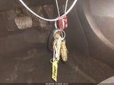 Miniaturka zdjęcia 11