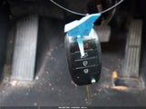 Miniaturka zdjęcia 11