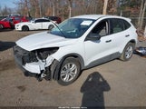 Miniaturka zdjęcia 2