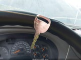 Miniaturka zdjęcia 11