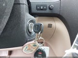 Miniaturka zdjęcia 11