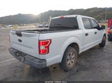Ford F-150 Xlt 1FTEW1C52LFA64138 снимка