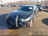 Ford Police Interceptor 1FAHP2M81DG105871 снимка
