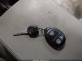 Miniaturka zdjęcia 11