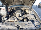 Ford Mustang Gt 1ZVFT82H065104094 снимка