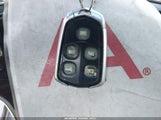Miniaturka zdjęcia 11