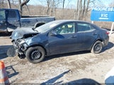 Toyota Corolla Le 2T1BURHE5FC392179 снимка
