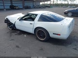 Miniaturka zdjęcia 3