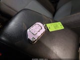 Miniaturka zdjęcia 11
