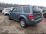 Ford Escape Xlt 1FMCU0DG2BKB28557 fotografie