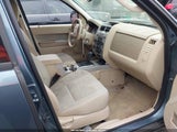 Ford Escape Xlt 1FMCU0DG2BKB28557 снимка