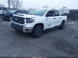 Toyota Tundra Sr5 5.7L V8 5TFDW5F19HX673000 fotografie