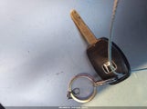 Miniaturka zdjęcia 11